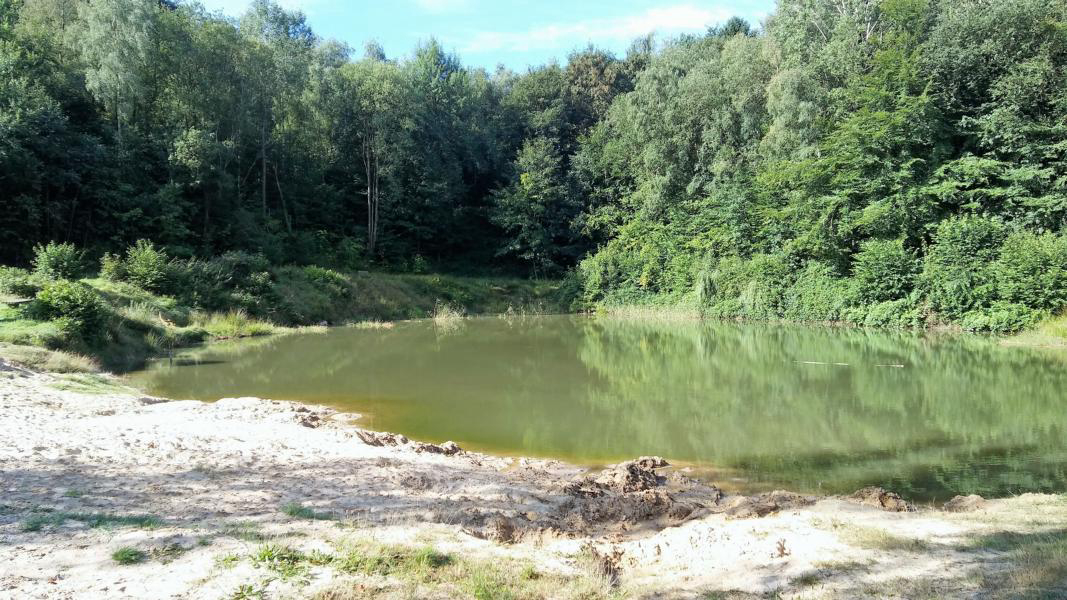 Wingst Baja Sajonia - wingst visuel 3/4 Wingst Baja Sajonia - wingst visuel 3/4