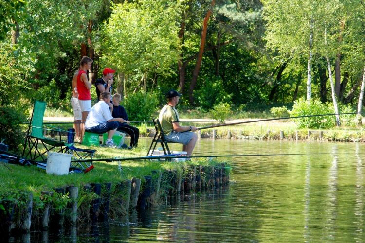 Zilverstrand Amberes - Mol visuel 6/8