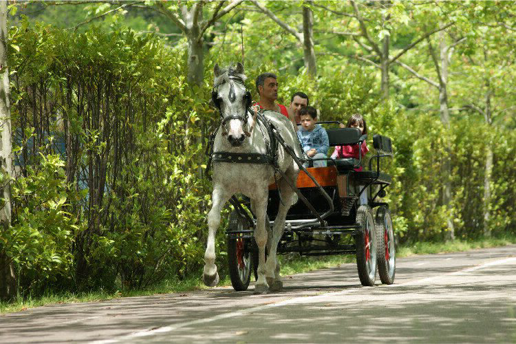 Zumaia País Vasco - Zumaia visuel 5/9