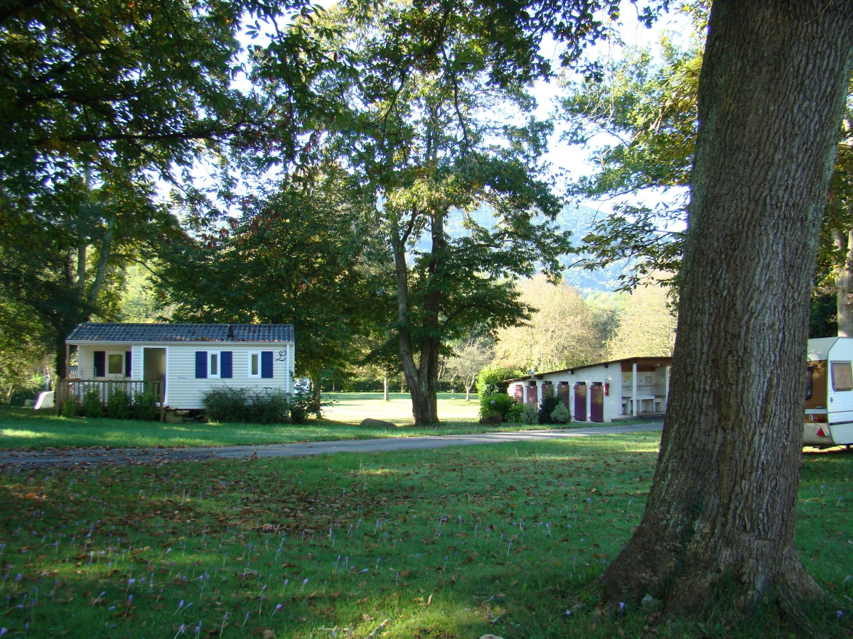 A l’Ombre des Tilleuls Mediodía-Pirineos - Peyrouse visuel 9/10 A l’Ombre des Tilleuls Mediodía-Pirineos - Peyrouse visuel 9/10