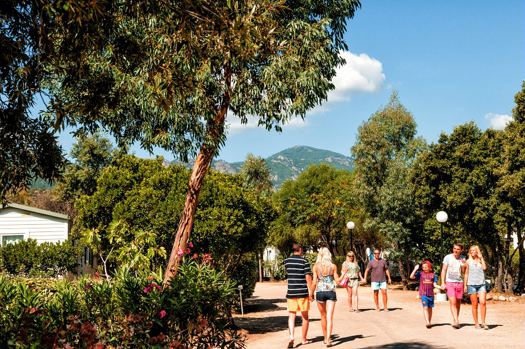 Acqua e Sole Córcega - Sainte-Lucie-de-Porto-Vecchio visuel 15/15 Acqua e Sole Córcega - Sainte-Lucie-de-Porto-Vecchio visuel 15/15