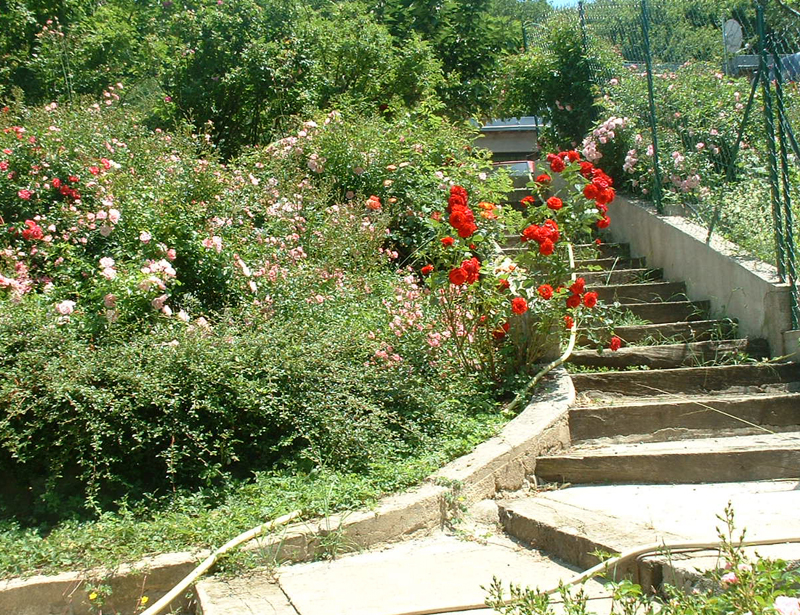 Aire Naturelle de Caneyrac Languedoc-Rosellón - Riols visuel 2/6 Aire Naturelle de Caneyrac Languedoc-Rosellón - Riols visuel 2/6