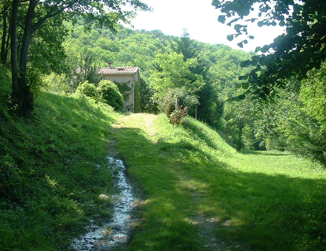 Aire Naturelle de Caneyrac Languedoc-Rosellón - Riols visuel 3/6 Aire Naturelle de Caneyrac Languedoc-Rosellón - Riols visuel 3/6