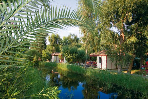 Arinella Bianca Córcega - Ghisonaccia visuel 8/17