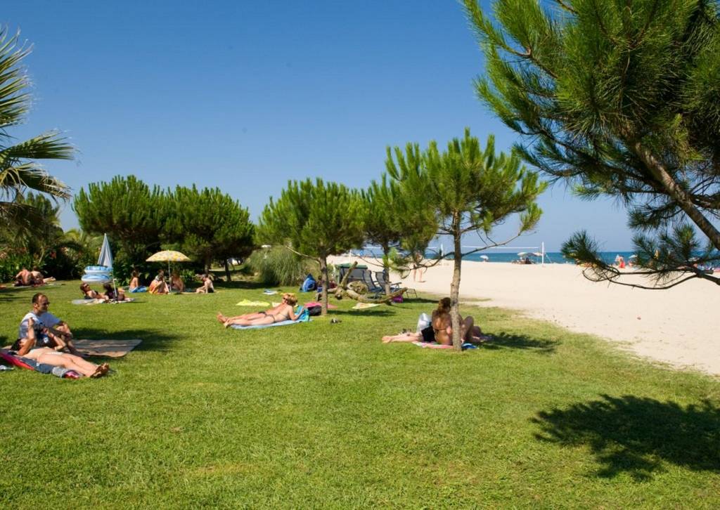 Arinella Bianca Córcega - Ghisonaccia visuel 6/17