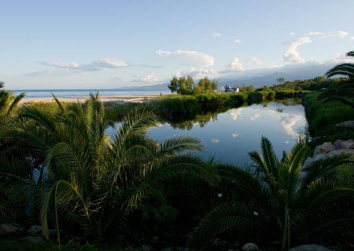 Arinella Bianca Córcega - Ghisonaccia visuel 7/17