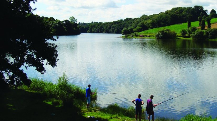 Au Bocage du Lac Bretaña - Jugon les Lacs visuel 11/12 Au Bocage du Lac Bretaña - Jugon les Lacs visuel 11/12