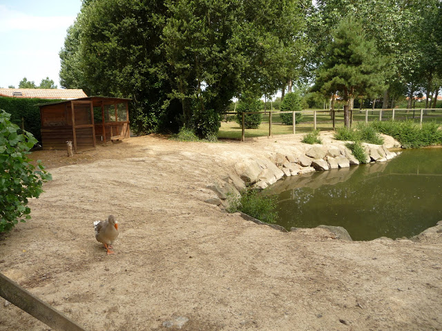 Au Bon Accueil Países del Loira - Brétignolles-sur-Mer visuel 3/3 Au Bon Accueil Países del Loira - Brétignolles-sur-Mer visuel 3/3