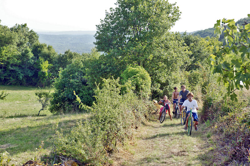 Au p'tit Bonheur Aquitania - Peyrillac-et-Millac visuel 6/10