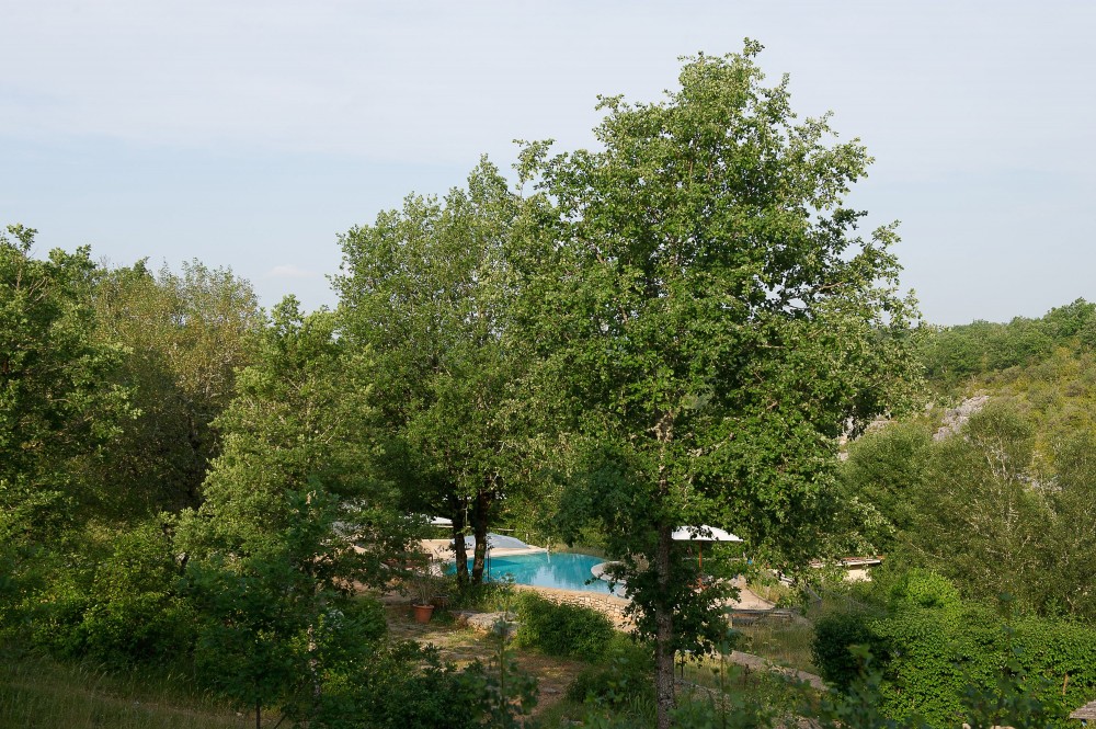 Aux Lodges du Mas de Nadal Mediodía-Pirineos - Sauliac-sur-Célé visuel 3/9