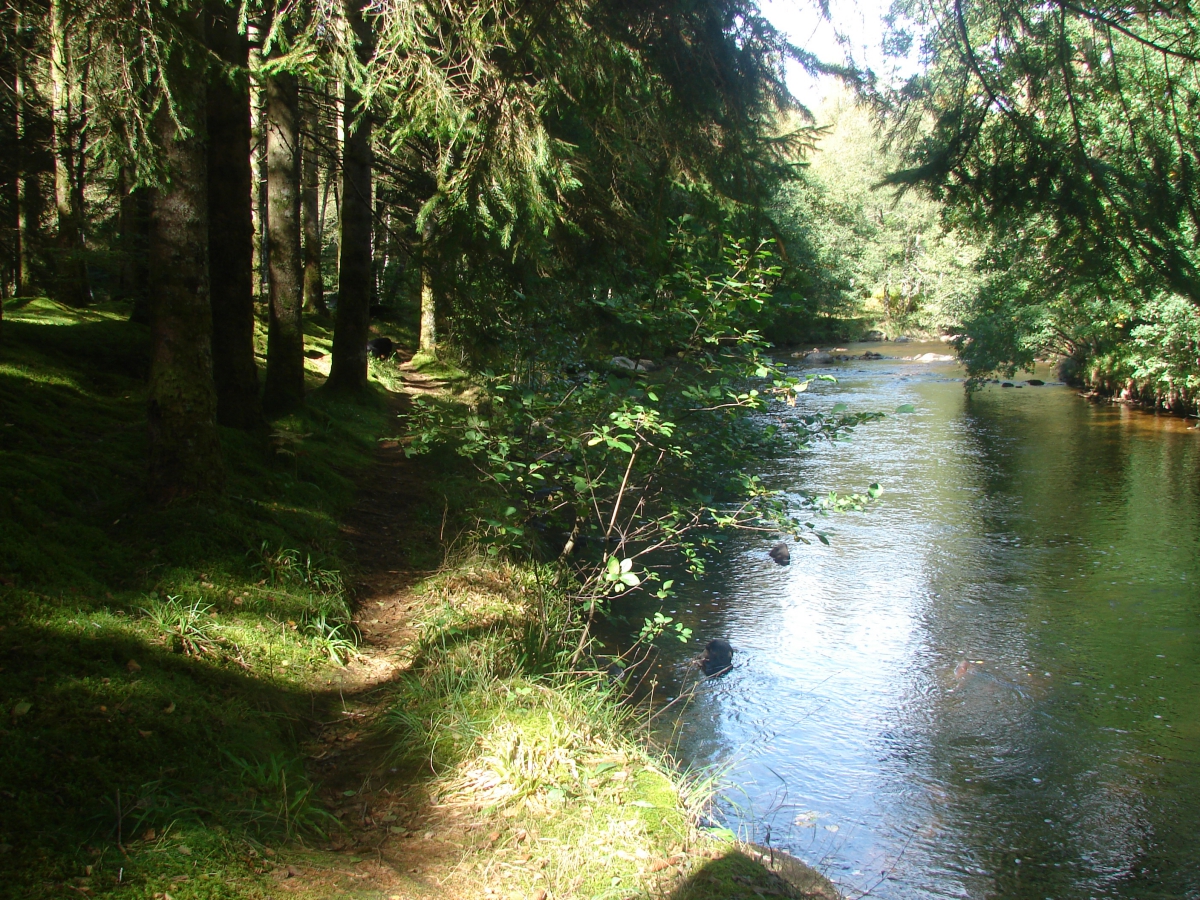 Aux Portes des Mille Sources Limosín - Bugeat visuel 2/8 Aux Portes des Mille Sources Limosín - Bugeat visuel 2/8