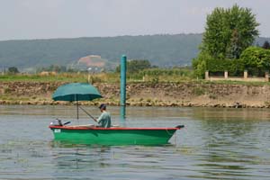 Aux Rives du Soleil Ródano-Alpes - Pont-de-Vaux visuel 8/10 Aux Rives du Soleil Ródano-Alpes - Pont-de-Vaux visuel 8/10
