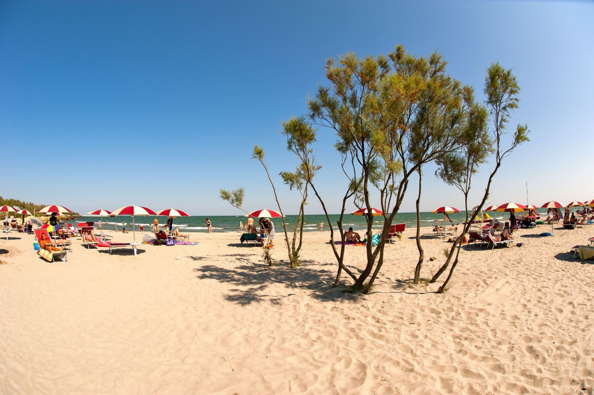 Barricata Véneto - Bonelli di Porto Tolle visuel 9/10 Barricata Véneto - Bonelli di Porto Tolle visuel 9/10