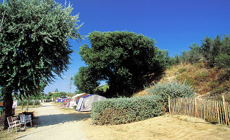 Beauregard Plage Languedoc-Rosellón - Marseillan visuel 4/8