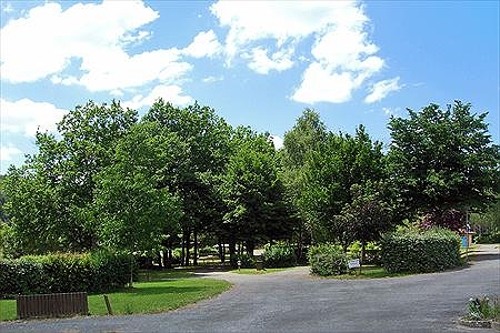 Bel Air Limosín - Ladignac-le-Long visuel 5/6 Bel Air Limosín - Ladignac-le-Long visuel 5/6