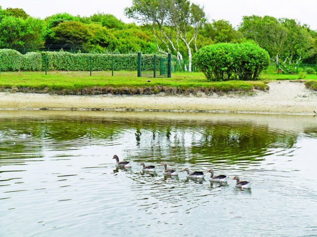 Belle Dune Norte-Paso de Calais - Berck visuel 10/11 Belle Dune Norte-Paso de Calais - Berck visuel 10/11