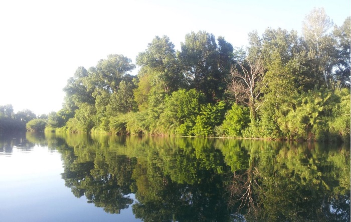 Belle-rive Languedoc-Rosellón - Montfrin visuel 10/10 Belle-rive Languedoc-Rosellón - Montfrin visuel 10/10