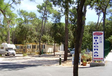 Biograd Dalmacia - Biograd visuel 2/8