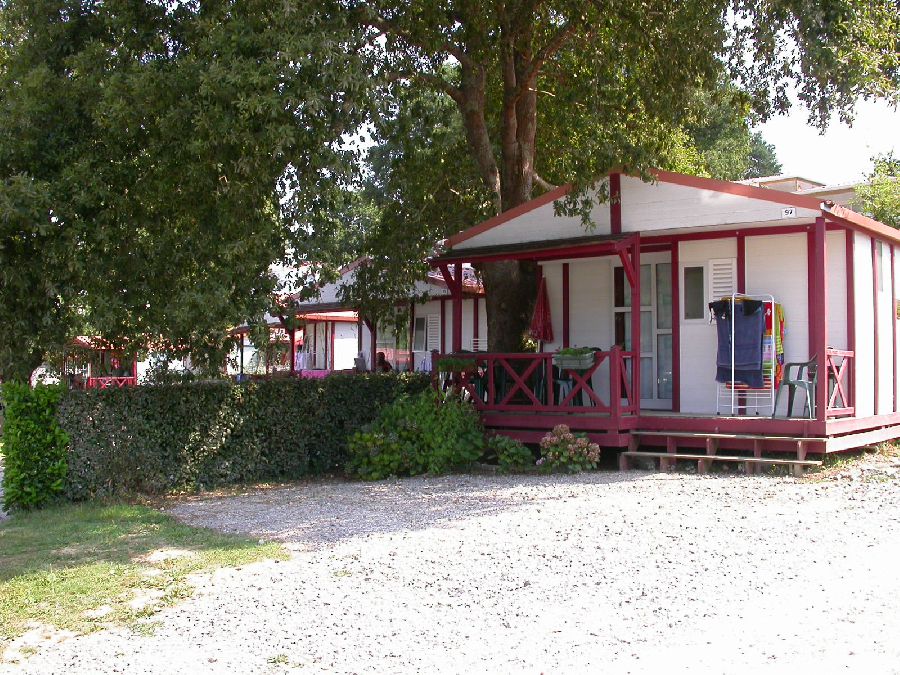 Biper Gorri Aquitania - Espelette visuel 3/4 Biper Gorri Aquitania - Espelette visuel 3/4