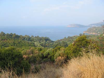 Bonporteau Provenza-Alpes-Costa Azul - Cavalaire-sur-Mer visuel 6/10 Bonporteau Provenza-Alpes-Costa Azul - Cavalaire-sur-Mer visuel 6/10