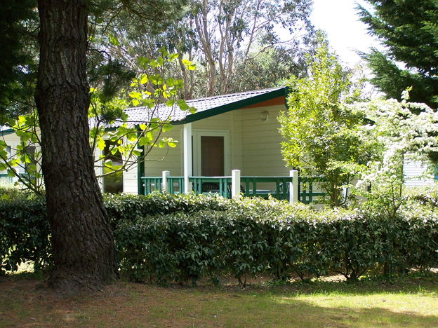 Bordénéo Bretaña - Le Palais visuel 3/11