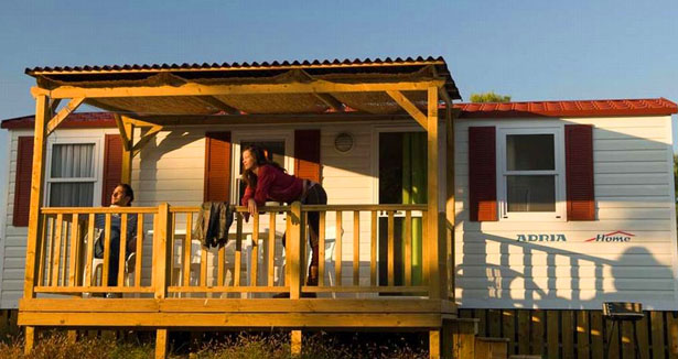 Borik Dalmacia - Zadar visuel 3/10