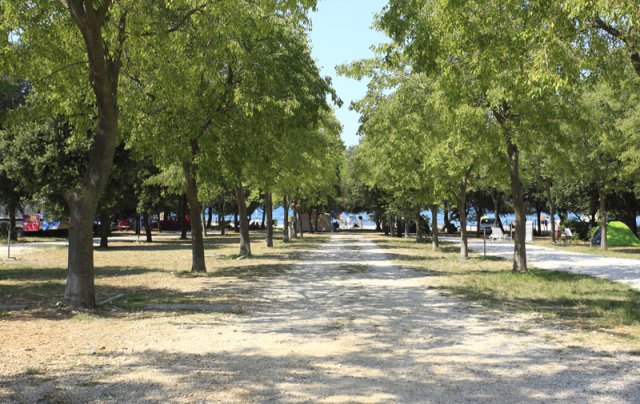 Borik Dalmacia - Zadar visuel 9/10