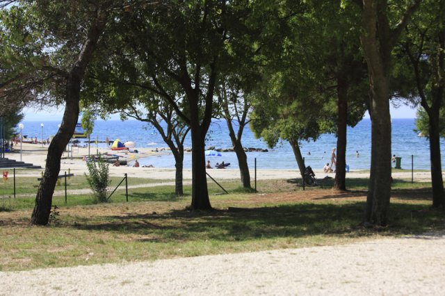 Borik Dalmacia - Zadar visuel 10/10