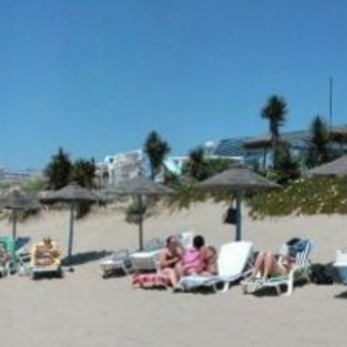 Buganvilla Andalucía - Marbella visuel 3/6