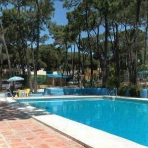 Buganvilla Andalucía - Marbella visuel 4/6