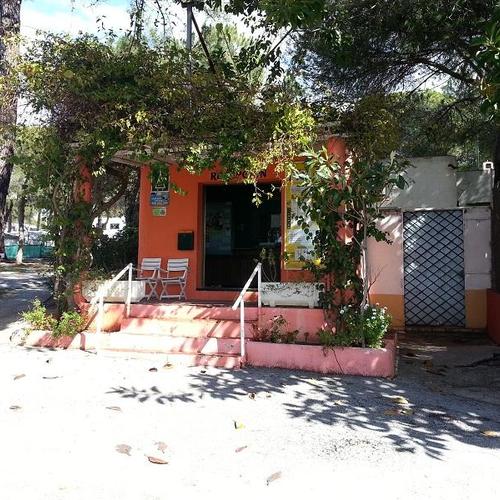 Buganvilla Andalucía - Marbella visuel 6/6