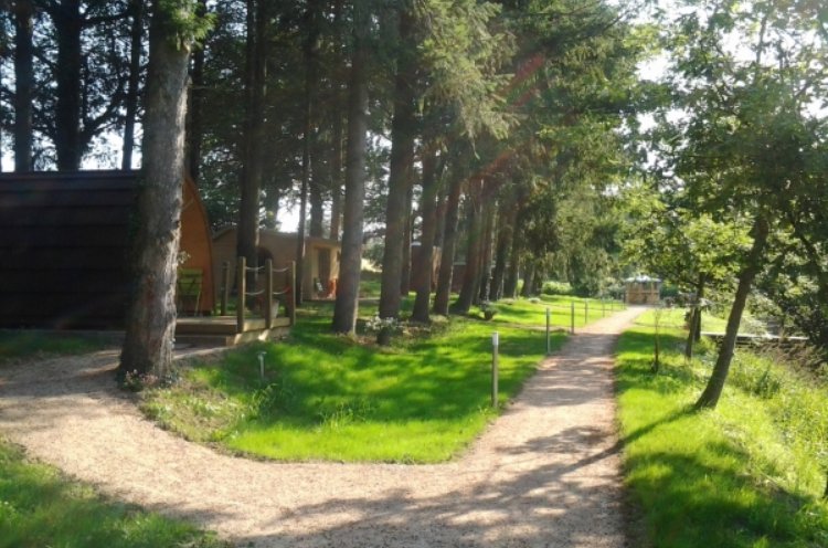 Cabanes de la Petite Sapinière Auvernia - Voussac visuel 4/7 Cabanes de la Petite Sapinière Auvernia - Voussac visuel 4/7