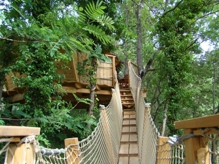 Cabânes du Varon Provenza-Alpes-Costa Azul - Flayosc visuel 8/11