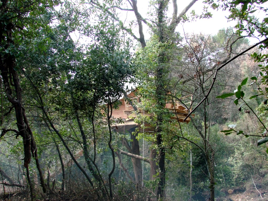 Cabânes du Varon Provenza-Alpes-Costa Azul - Flayosc visuel 11/11