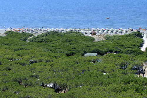 California Village Toscana - Montalto di Castro
 visuel 4/5 California Village Toscana - Montalto di Castro
 visuel 4/5