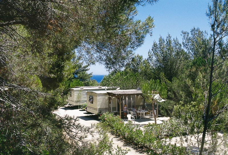 Camp du Domaine Provenza-Alpes-Costa Azul - Bormes-les-Mimosas visuel 2/8