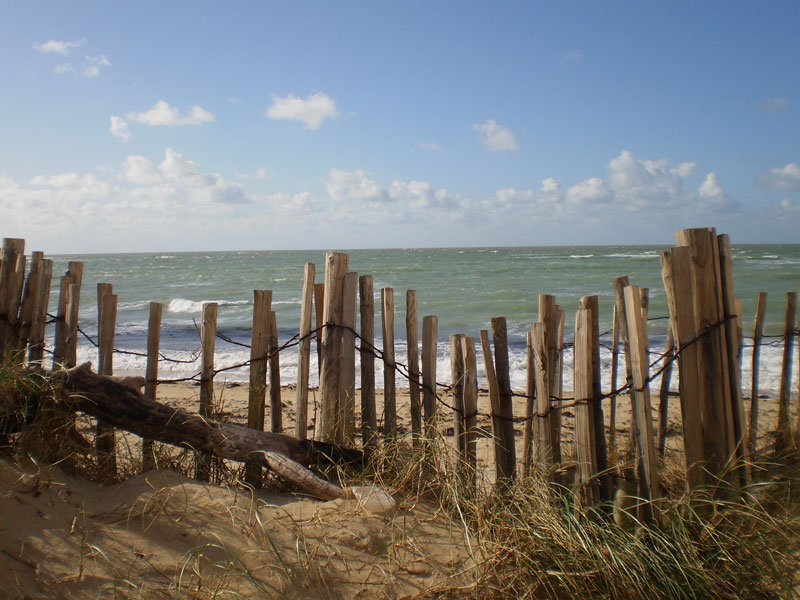 Campiotel des Dunes Poitou-Charentes - Ars-en-Ré visuel 2/7 Campiotel des Dunes Poitou-Charentes - Ars-en-Ré visuel 2/7