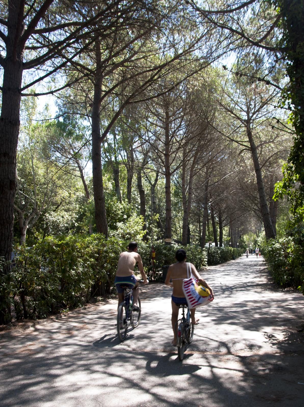 Campo dei Fiori Toscana - Vada visuel 2/10 Campo dei Fiori Toscana - Vada visuel 2/10