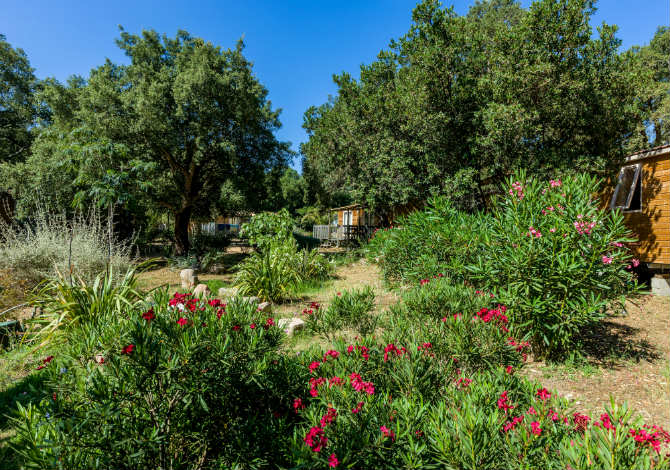 Campo di Mare Córcega - Porto-Vecchio visuel 8/11 Campo di Mare Córcega - Porto-Vecchio visuel 8/11