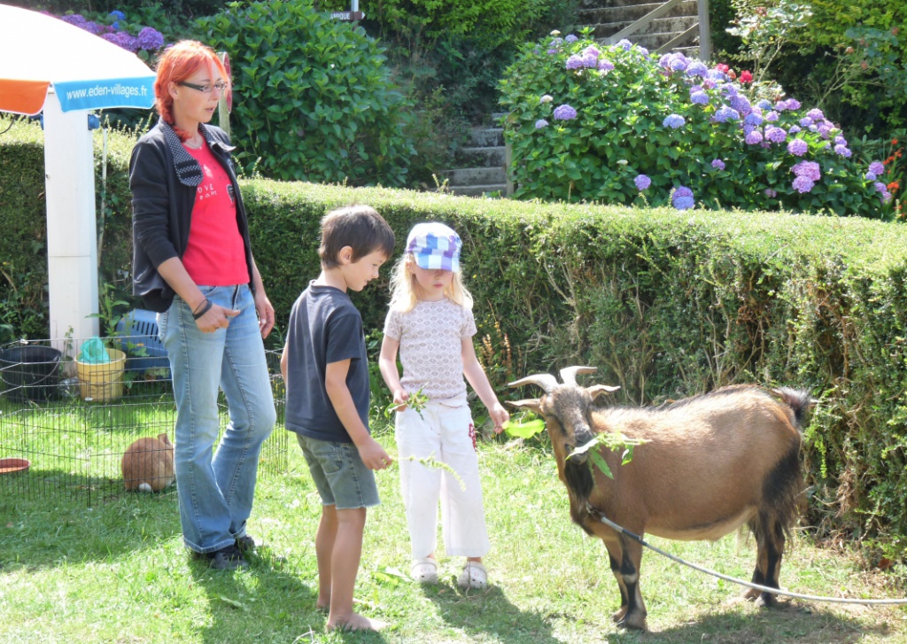 Cap de Bréhat Bretaña - Plouézec visuel 9/11