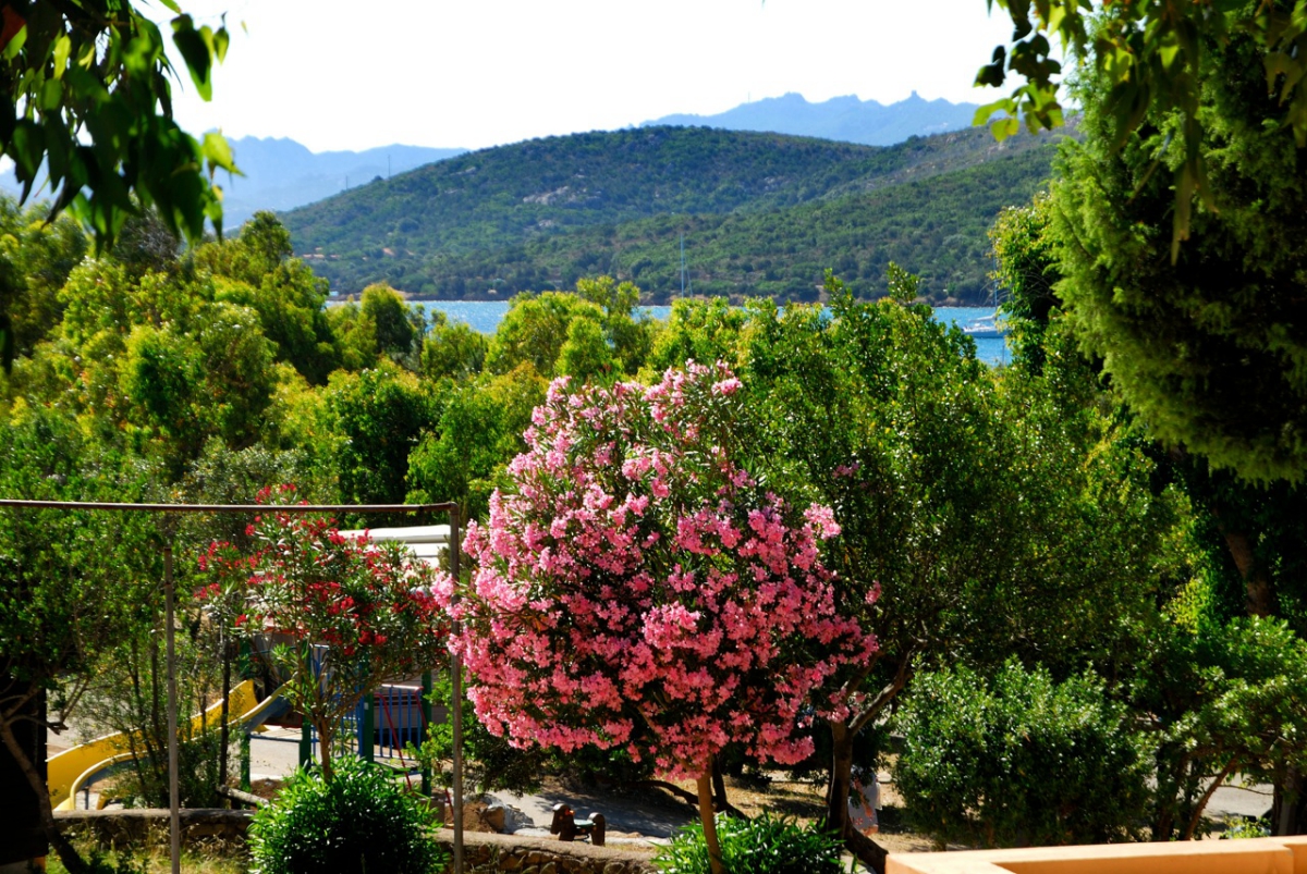 Capo d'Orso Cerdeña - Palau visuel 3/10