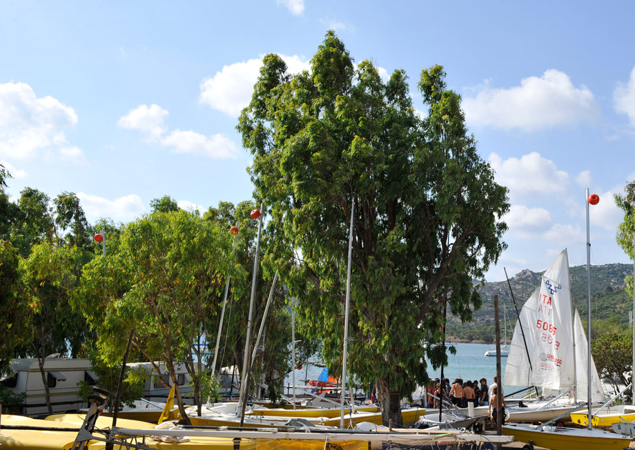 Capo d'Orso Cerdeña - Palau visuel 9/10