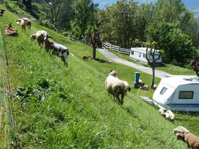 Caravaneige de Montchavin Ródano-Alpes - Montchavin les Coches visuel 5/7 Caravaneige de Montchavin Ródano-Alpes - Montchavin les Coches visuel 5/7