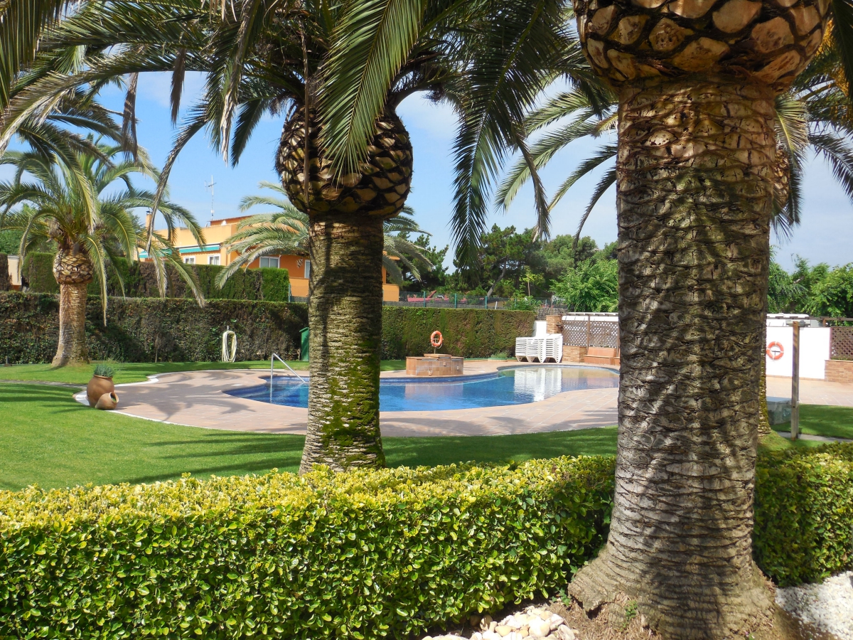 Cavall de Mar Costa Brava - Blanes visuel 3/8