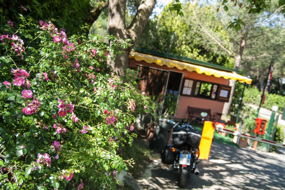 Cerquestra Umbría - Monte del Lago visuel 6/9