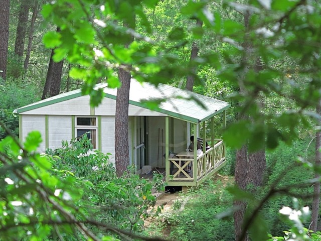 Cevennes Provence Languedoc-Rosellón - Anduze visuel 3/5 Cevennes Provence Languedoc-Rosellón - Anduze visuel 3/5