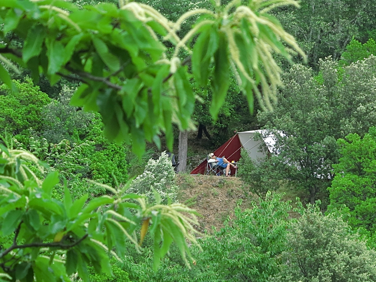 Cevennes Provence Languedoc-Rosellón - Anduze visuel 4/5 Cevennes Provence Languedoc-Rosellón - Anduze visuel 4/5
