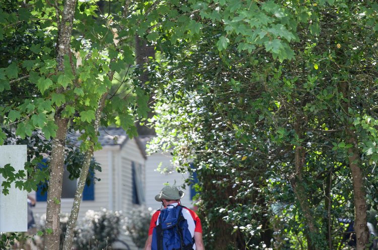 Château de la Forêt Países del Loira - Saint-Julien-des-Landes visuel 9/10 Château de la Forêt Países del Loira - Saint-Julien-des-Landes visuel 9/10