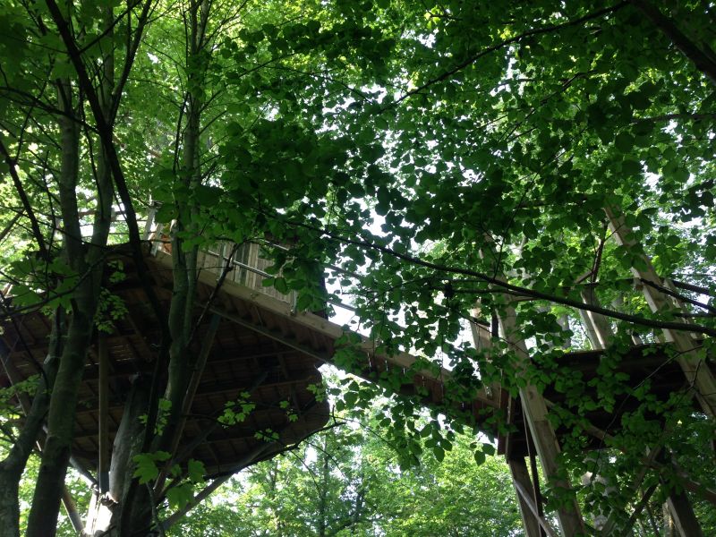 Chateau des Tilleuls Picardía - Port-le-Grand visuel 3/7