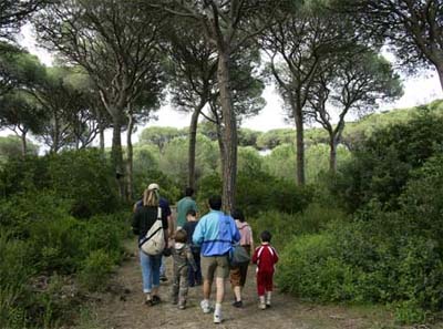 Cieloverde Toscana - Marina di Grosseto visuel 4/11 Cieloverde Toscana - Marina di Grosseto visuel 4/11